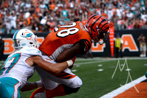 NFL: OCT 07 Dolphins at Bengals