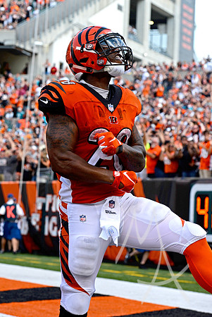 NFL: OCT 07 Dolphins at Bengals
