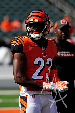 NFL: OCT 07 Dolphins at Bengals
