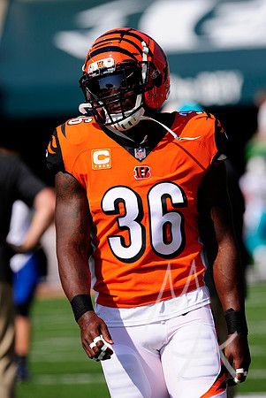 NFL: OCT 07 Dolphins at Bengals