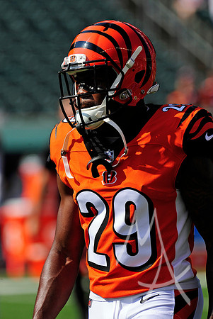 NFL: OCT 07 Dolphins at Bengals