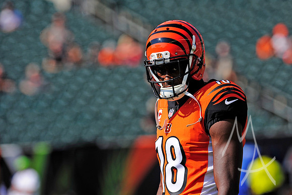 NFL: OCT 07 Dolphins at Bengals