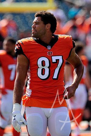 NFL: OCT 07 Dolphins at Bengals