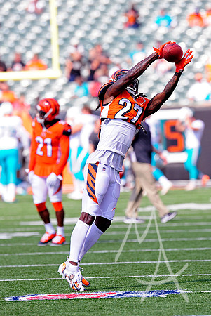 NFL: OCT 07 Dolphins at Bengals