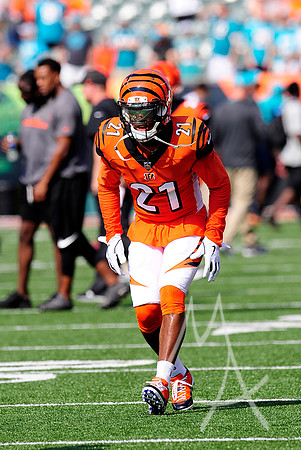 NFL: OCT 07 Dolphins at Bengals