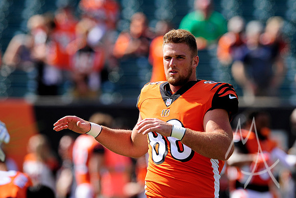 NFL: OCT 07 Dolphins at Bengals
