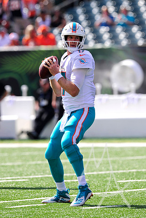 NFL: OCT 07 Dolphins at Bengals