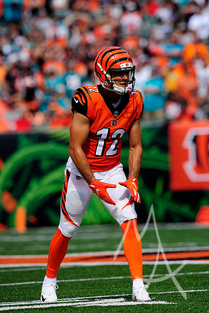 NFL: OCT 07 Dolphins at Bengals