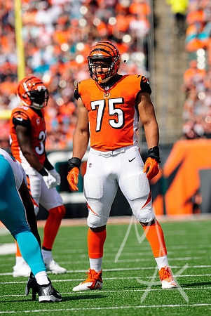 NFL: OCT 07 Dolphins at Bengals