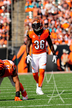 NFL: OCT 07 Dolphins at Bengals