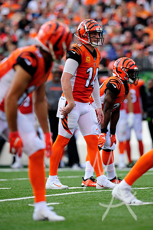 NFL: OCT 07 Dolphins at Bengals