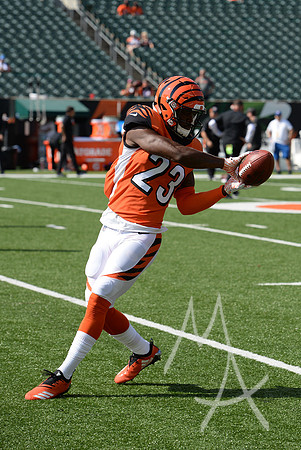 NFL: OCT 07 Dolphins at Bengals