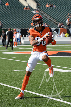 NFL: OCT 07 Dolphins at Bengals