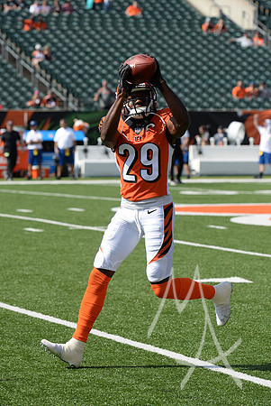 NFL: OCT 07 Dolphins at Bengals