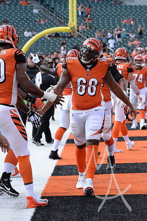 NFL: OCT 07 Dolphins at Bengals