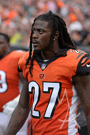 NFL: OCT 07 Dolphins at Bengals