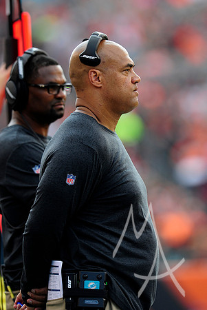 NFL: OCT 07 Dolphins at Bengals