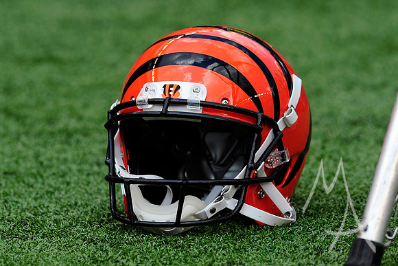 NFL: OCT 07 Dolphins at Bengals