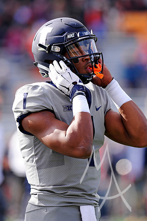 COLLEGE FOOTBALL: OCT 13 Purdue at Illinois