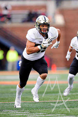 COLLEGE FOOTBALL: OCT 13 Purdue at Illinois