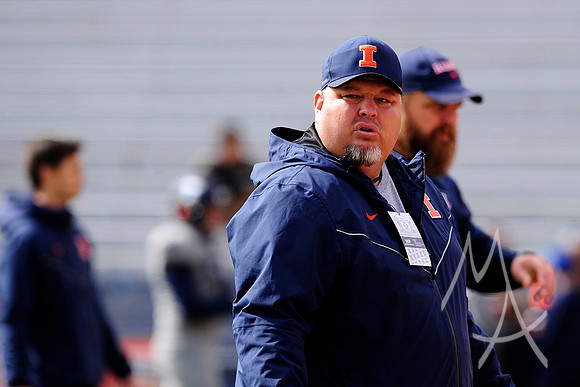 COLLEGE FOOTBALL: OCT 13 Purdue at Illinois