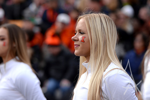 COLLEGE FOOTBALL: OCT 13 Purdue at Illinois