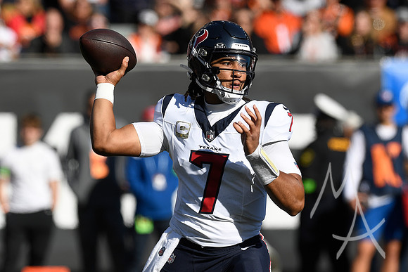 NFL: NOV 12 Texans at Bengals