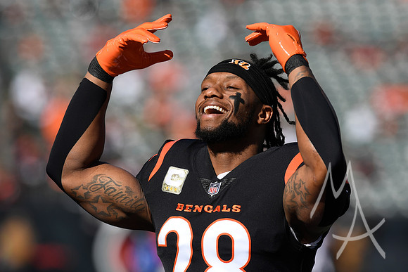 NFL: NOV 12 Texans at Bengals