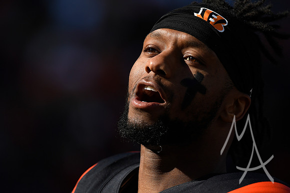 NFL: NOV 12 Texans at Bengals