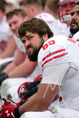 NCAA FOOTBALL: NOV 19 Wisconsin at Purdue