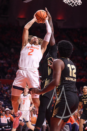COLLEGE BASKETBALL: NOV 10 Oakland at Illinois