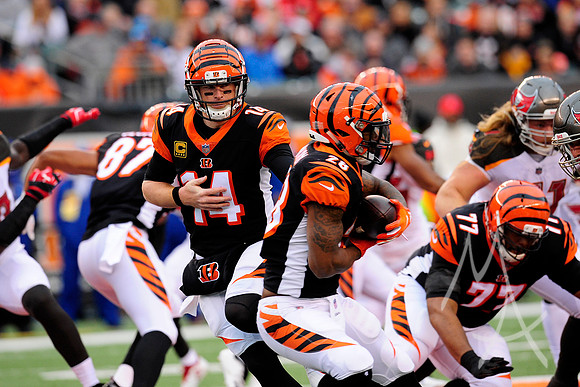 NFL: OCT 28 Buccaneers at Bengals
