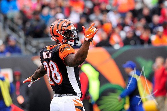 NFL: OCT 28 Buccaneers at Bengals