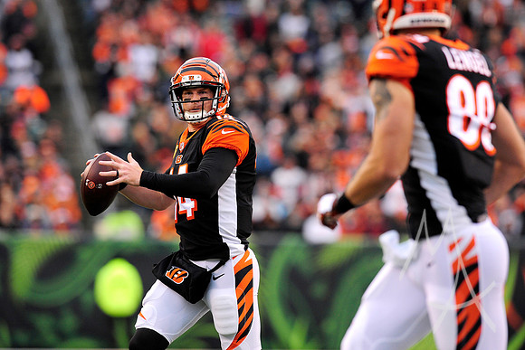 NFL: OCT 28 Buccaneers at Bengals