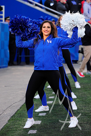 COLLEGE FOOTBALL: NOV 03 Georgia at Kentucky