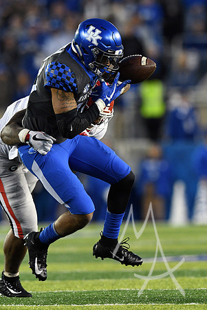 COLLEGE FOOTBALL: NOV 03 Georgia at Kentucky