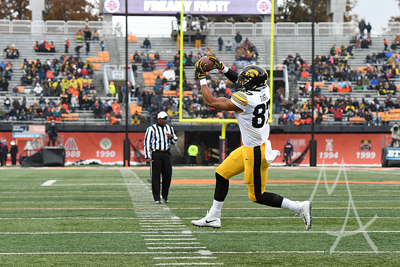 COLLEGE FOOTBALL: NOV 17 Iowa at Illinois