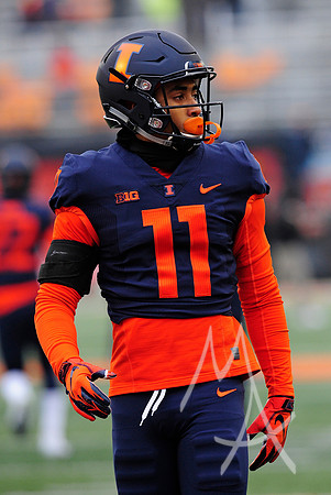 COLLEGE FOOTBALL: NOV 17 Iowa at Illinois