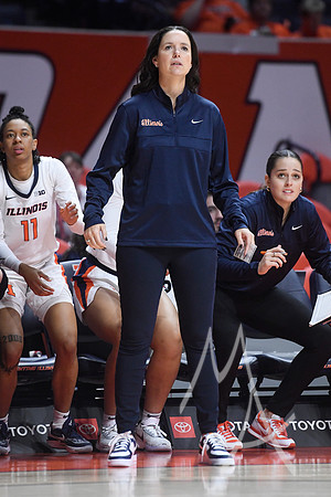 COLLEGE BASKETBALL: NOV 15 Women's - Saint Peter's at Illinois
