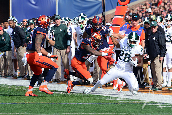 NCAA FOOTBALL: NOV 05 Michigan State at Illinois