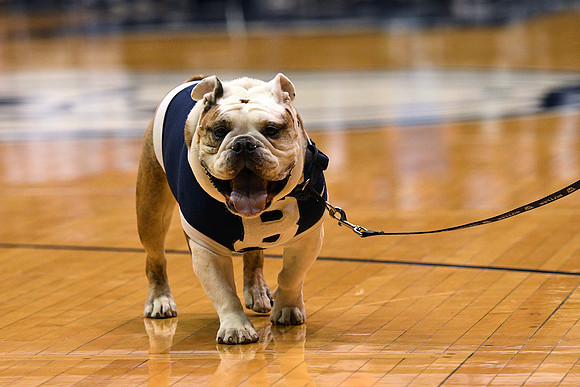 COLLEGE BASKETBALL: DEC 08 Northern Illinois at Butler
