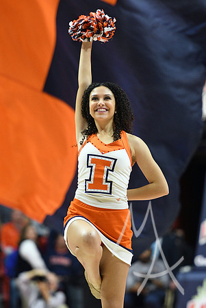 COLLEGE BASKETBALL: DEC 29 FAU at Illinois