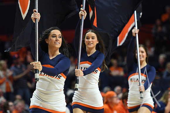 COLLEGE BASKETBALL: DEC 29 FAU at Illinois