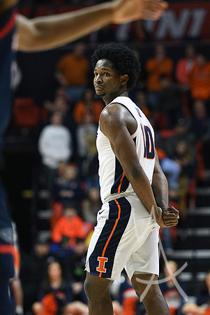 COLLEGE BASKETBALL: DEC 29 FAU at Illinois
