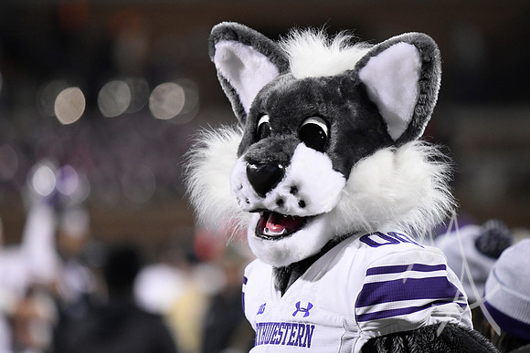 COLLEGE FOOTBALL: NOV 25 Northwestern at Illinois