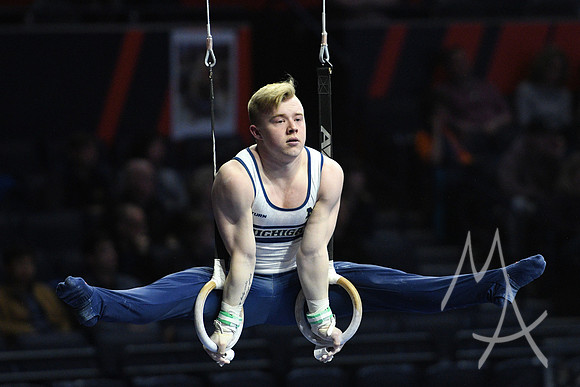 NCAA GYMNASTICS: APR 19 Men's Championship