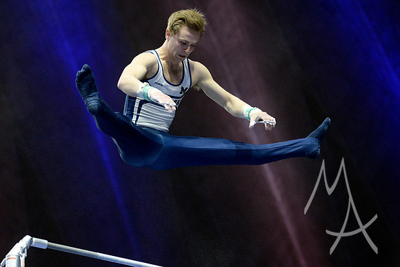 NCAA GYMNASTICS: APR 19 Men's Championship