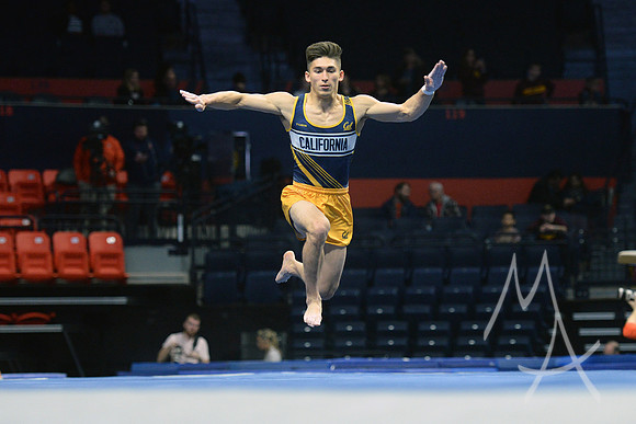 NCAA GYMNASTICS: APR 19 Men's Championship