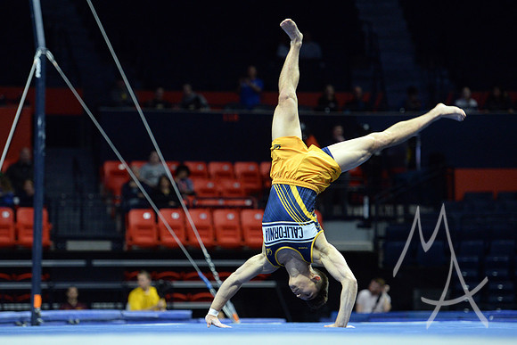 NCAA GYMNASTICS: APR 19 Men's Championship