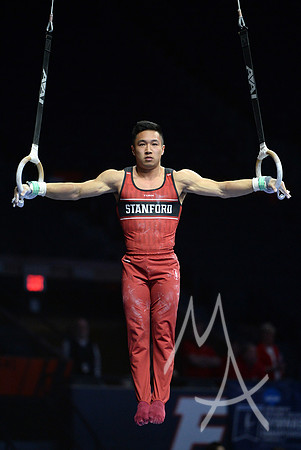 NCAA GYMNASTICS: APR 19 Men's Championship